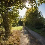 Reves De Bois