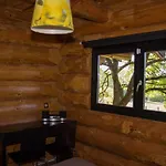 Reves De Bois