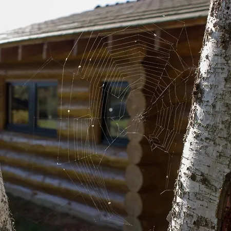 Chalet Reves De Bois *