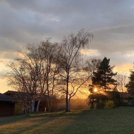 Reves De Bois Loubeyrat