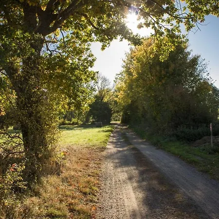 Reves De Bois
