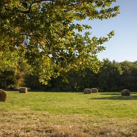 Reves De Bois Alpesi faház *