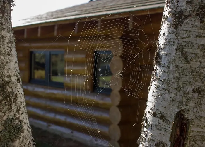 Шале Reves De Bois *