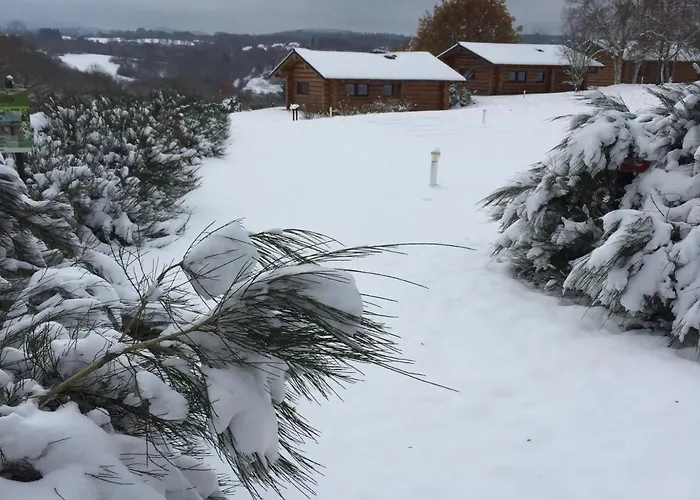 Reves De Bois * Loubeyrat