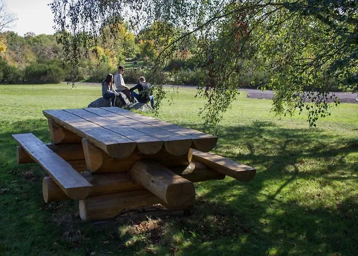 Шале Reves De Bois Loubeyrat