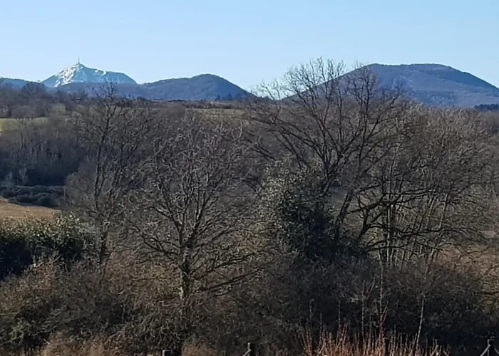 Шале Reves De Bois Loubeyrat