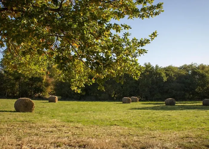 Reves De Bois Шале *